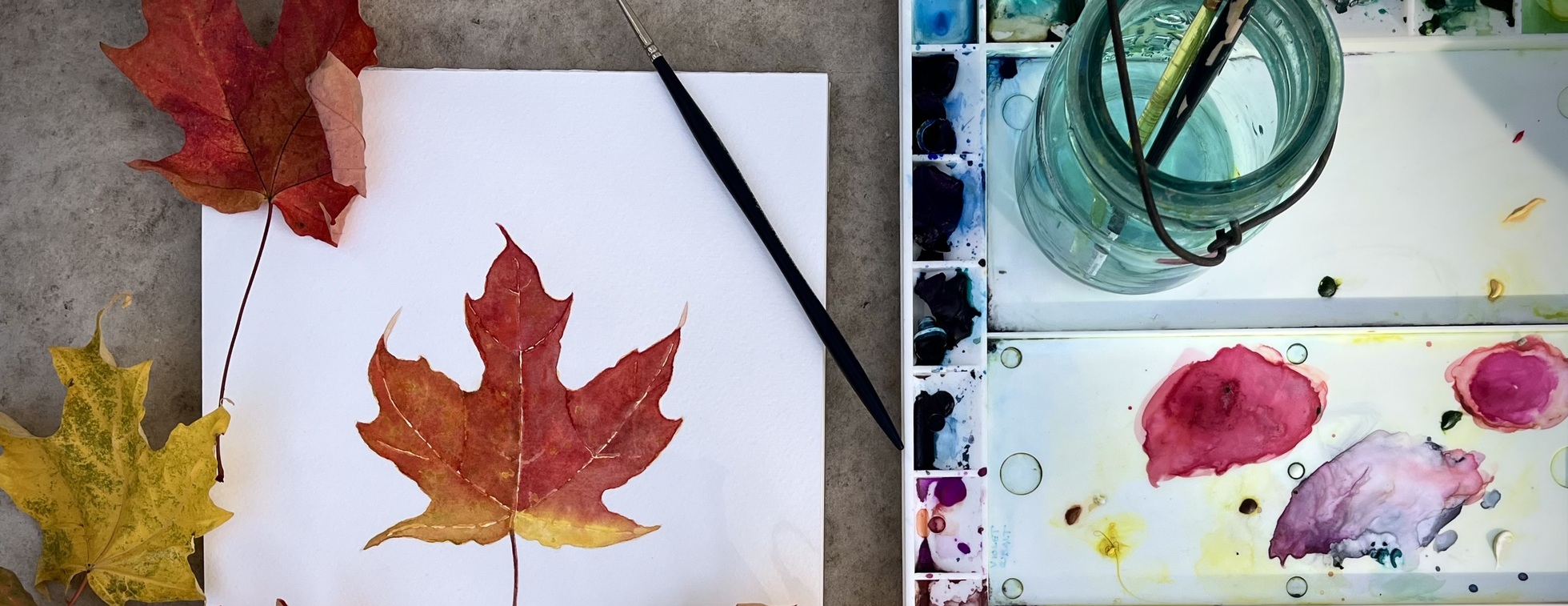 Watercolor Skill Building with Dani Knoph Davis: An Autumn Leaf Study